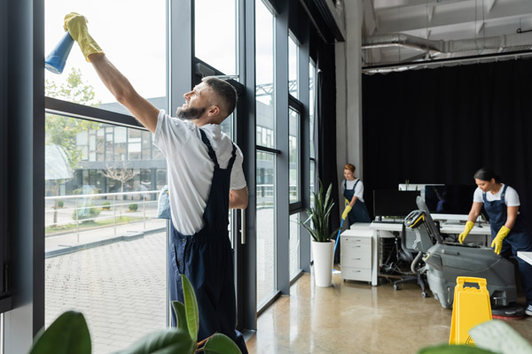 Regular Window Maintenance Plans